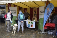 namur2019__DSC0075.JPG